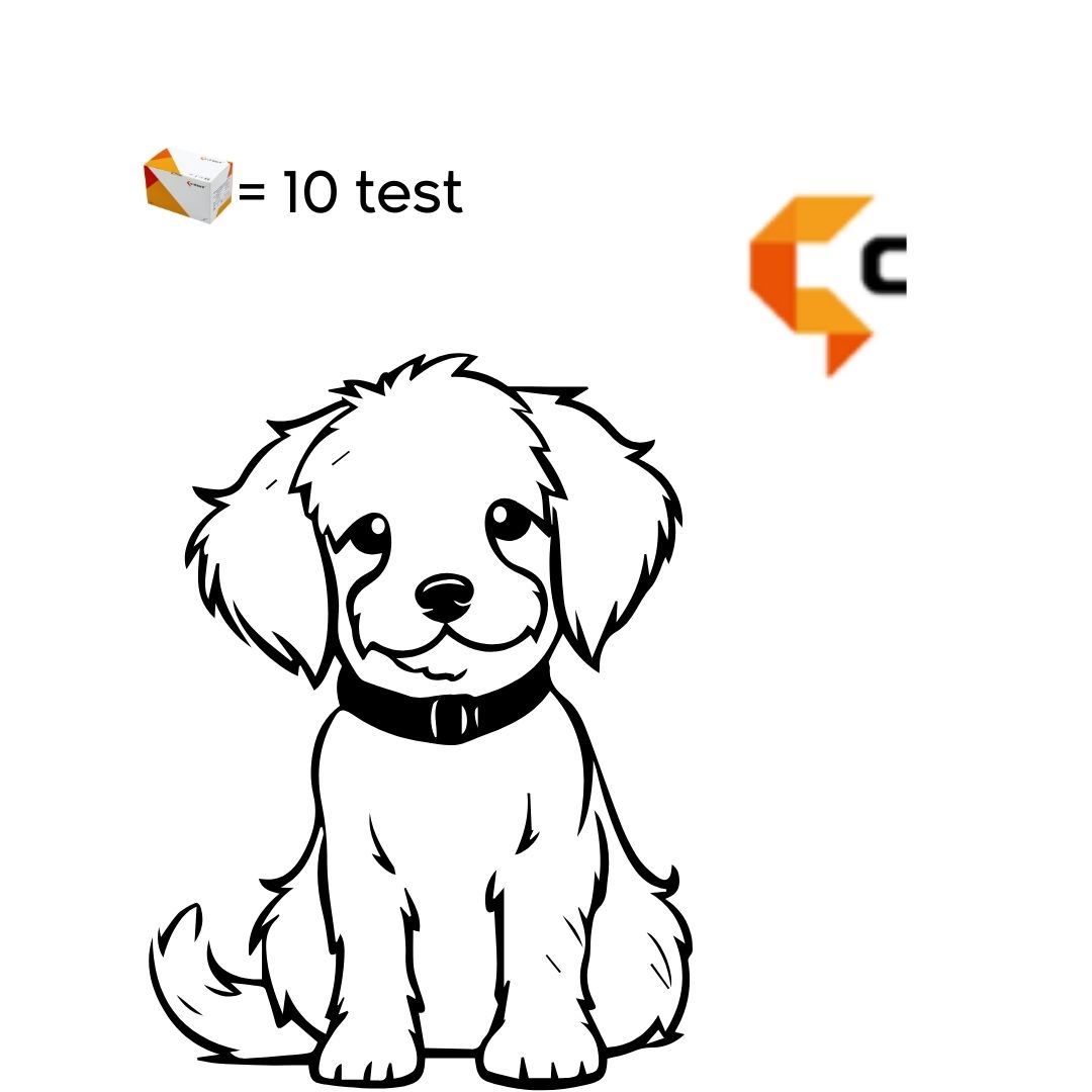 PARVOVIRUS + CORONAVIRUS